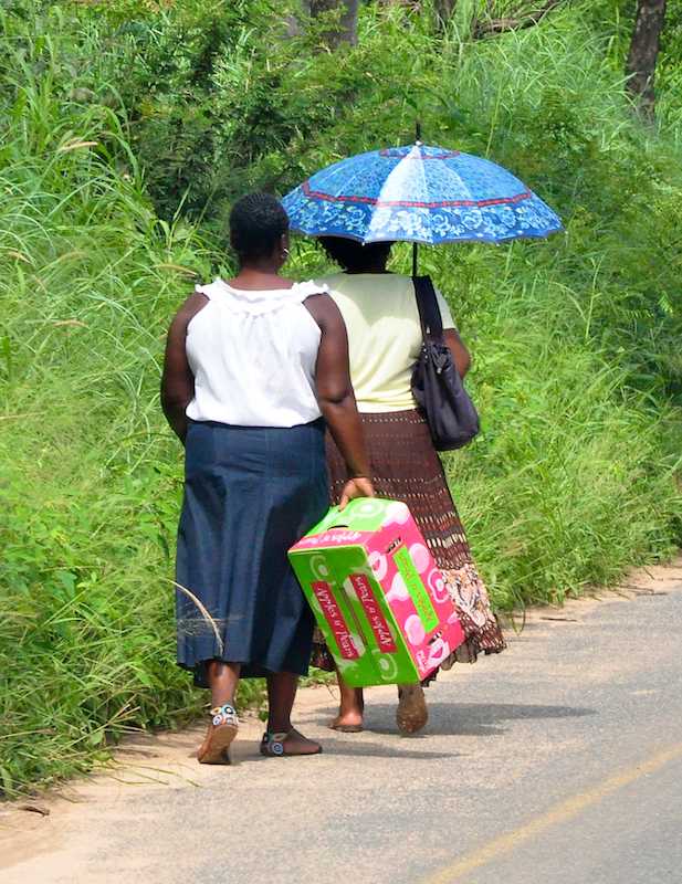 Melanie Heinrich - travel images - Lion Sands Private game reserver Hazyview